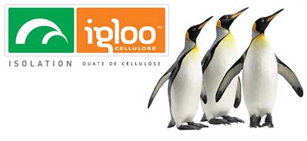 Igloo Cellulose Isolation